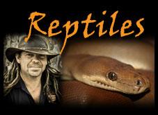 WA Reptiles, children's entertainer in Perth