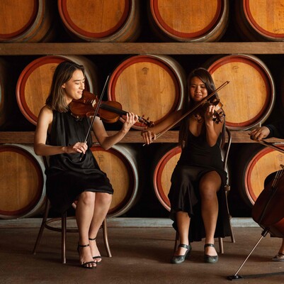Amare Strings, string quartet in Perth, photo 2