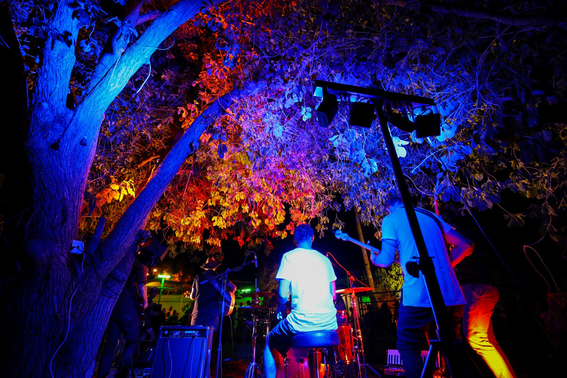 Broken Tides, cover band in Perth, photo 2