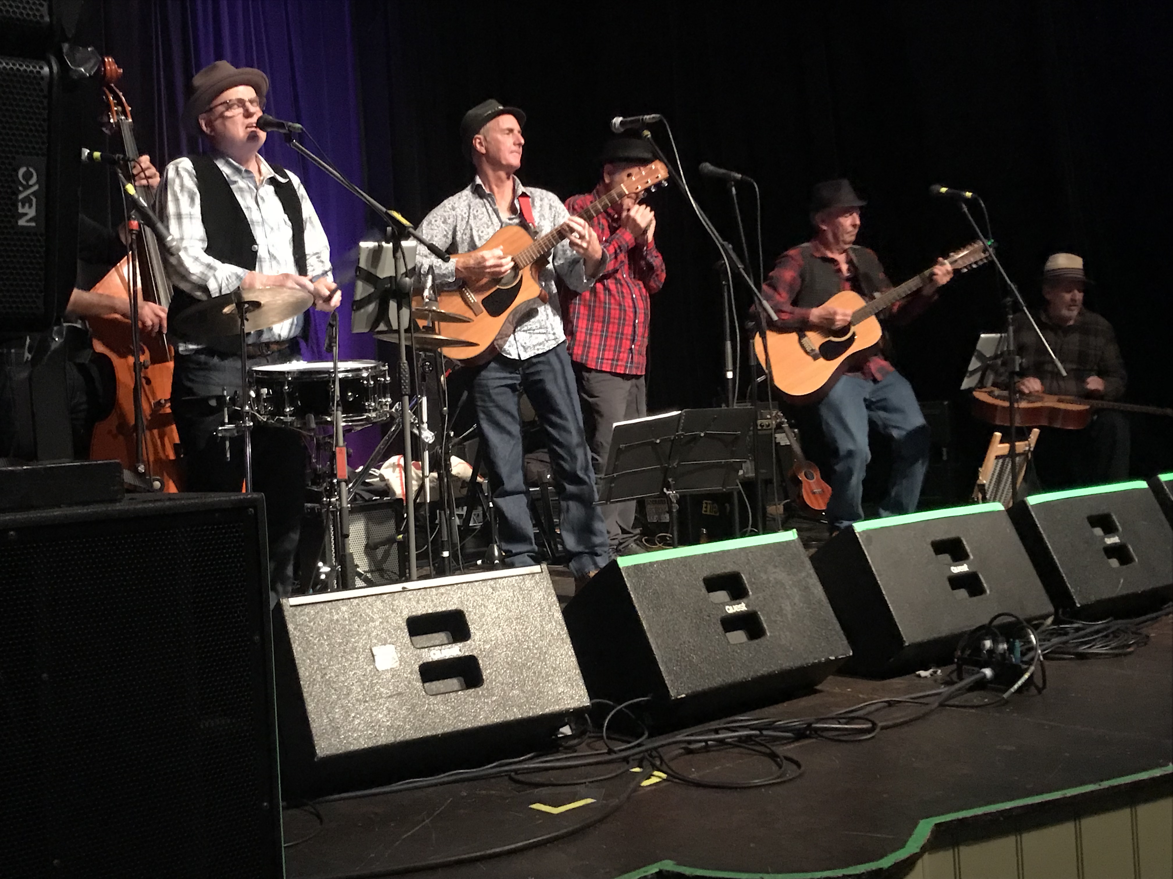 Jook Joint Band, cover band in Perth, photo 2