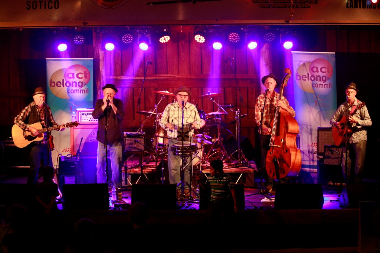 Jook Joint Band, cover band in Perth, photo 3