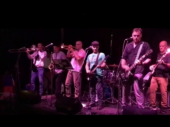 Little Pedro, cover band in Perth, photo 3