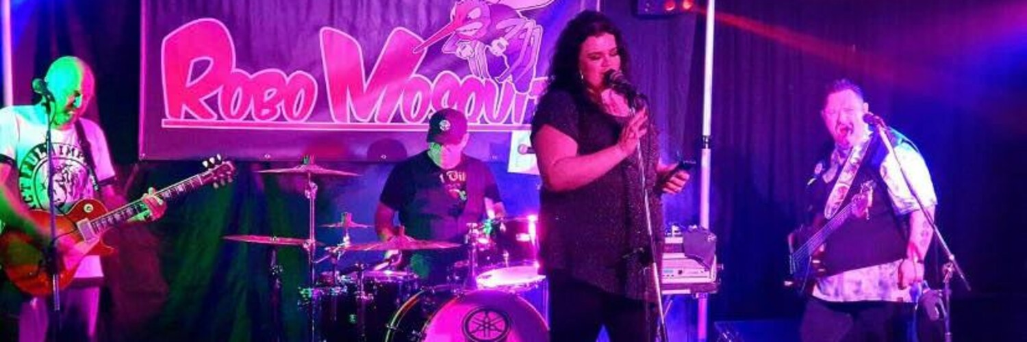 Robo mosquito, cover band in Perth, photo 3