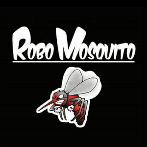 Robo mosquito, cover band in Perth, photo 2