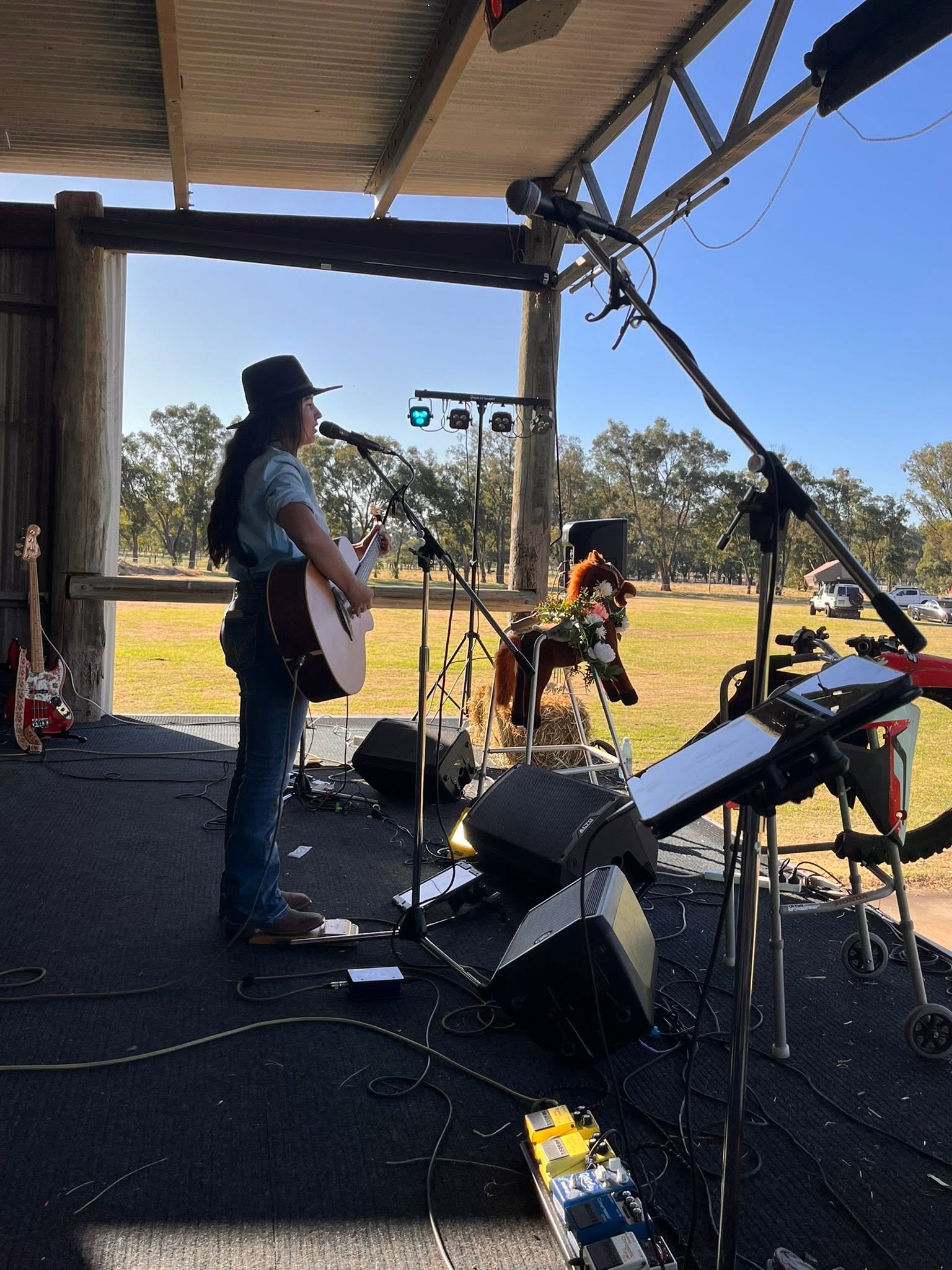 Rogue Pony, cover band in Perth, photo 2