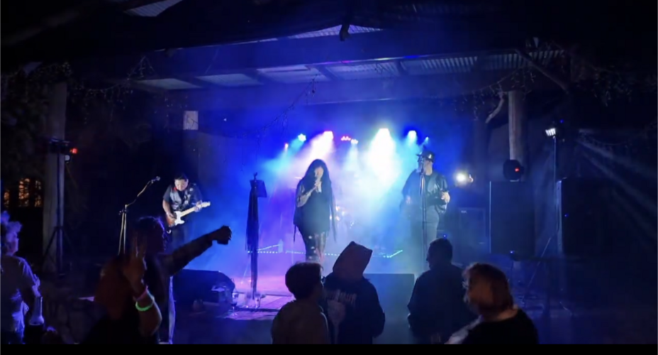 The velvet edge, cover band in Perth, photo 3