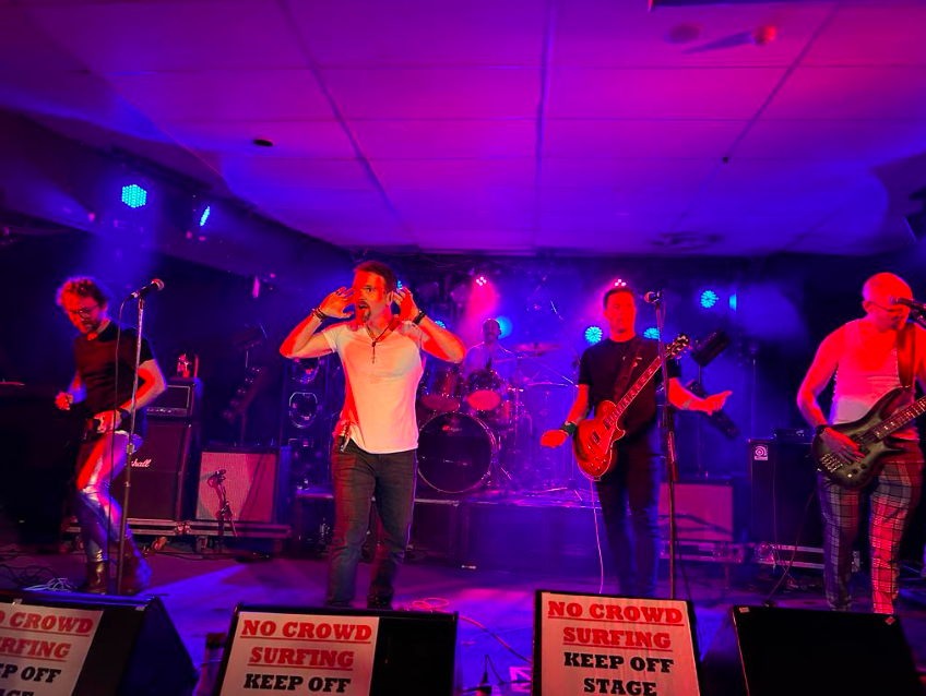 The Volatiles, cover band in Perth, photo 2