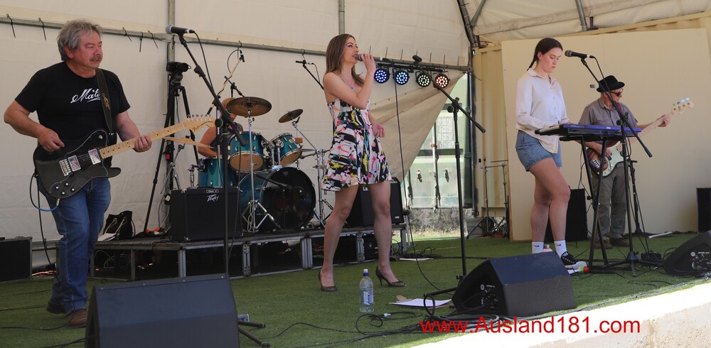 The Wildcards, cover band in Perth, photo 3