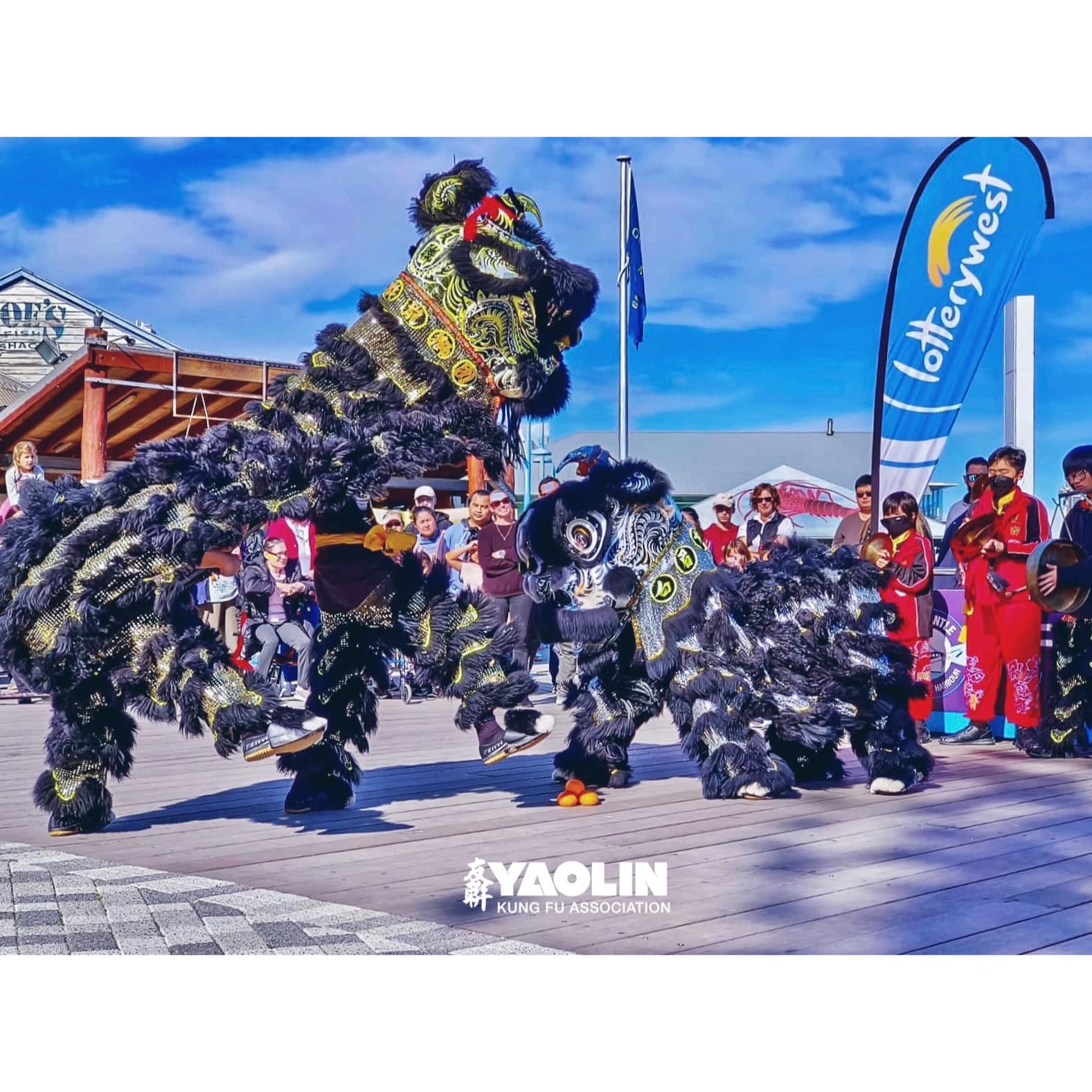 Chinese Dragons & Dancers, live in Perth