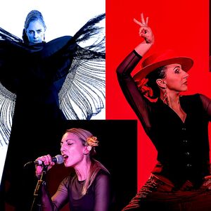 Spanish Flamenco music & dance, flamenco dancer in Perth, photo 2