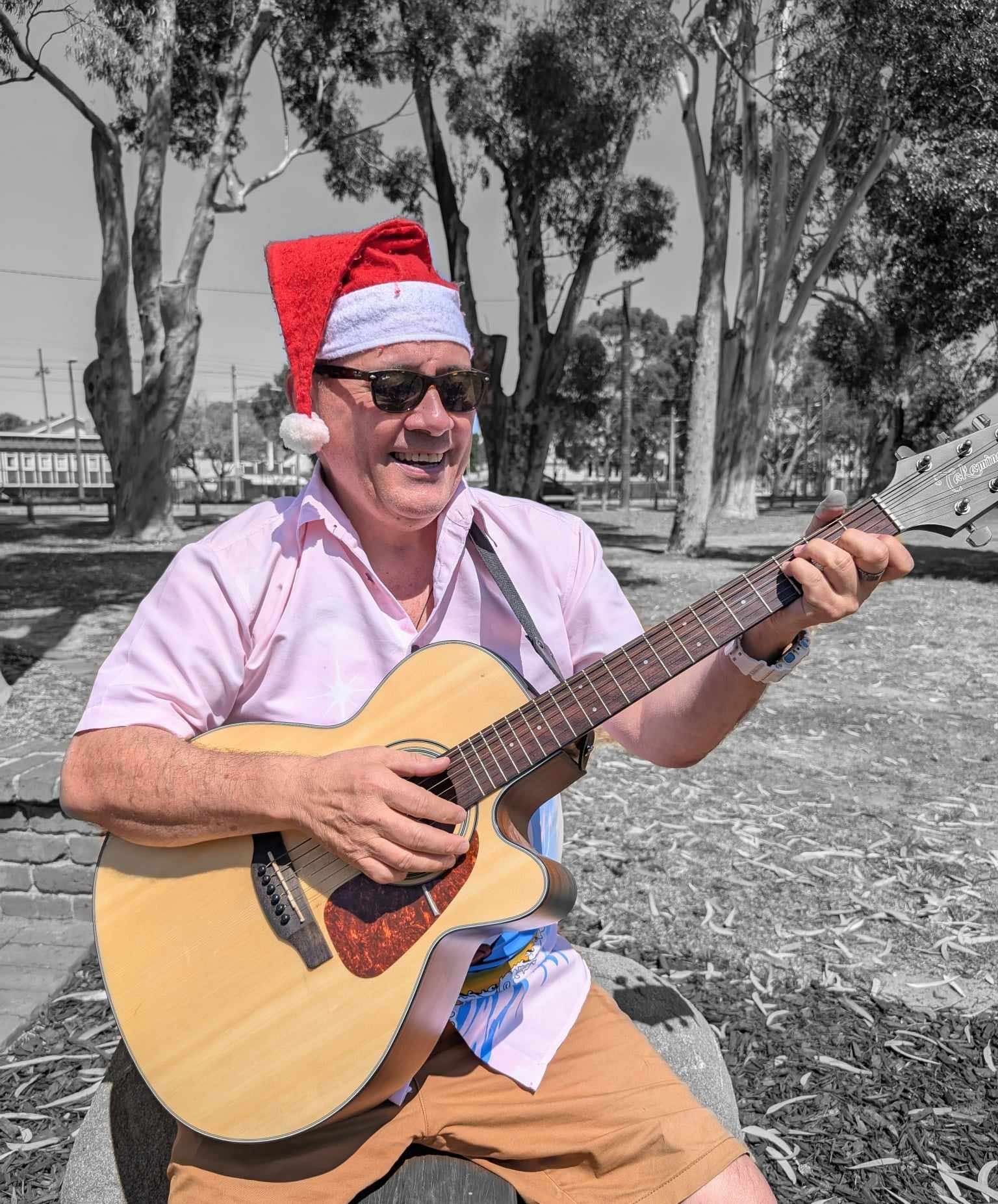 Christmas Party with Artie, musical duo in Perth