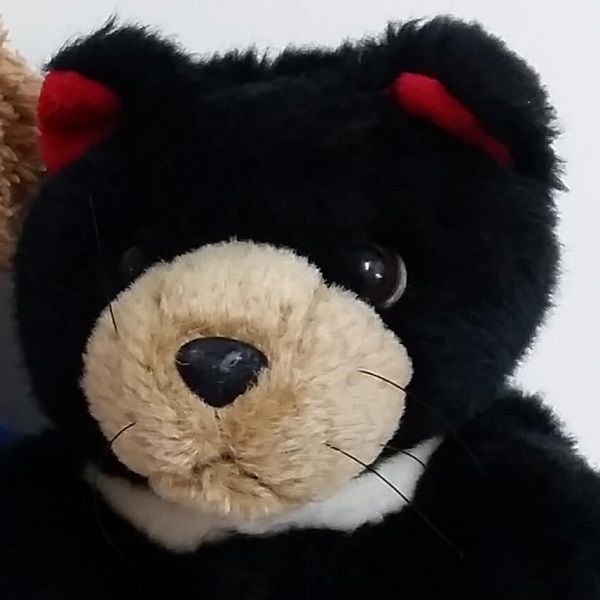 Baerlie and Friends, puppetry in Perth, photo 3