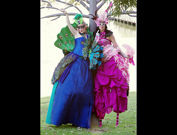 Flamenco And Peacock, stilt walker in Perth, photo 2