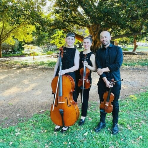 Dolce Ensembles, string ensemble in Perth