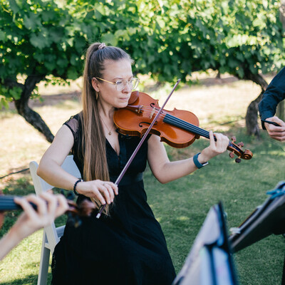 Quartet With A Twist, string quartet in Perth, photo 2