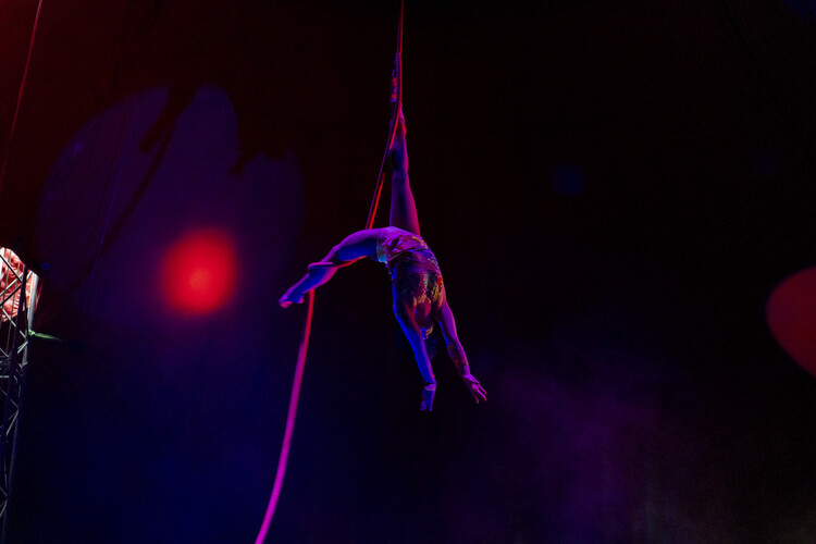 Circus Acts: Aerial Lana, acrobat in Perth, photo 3