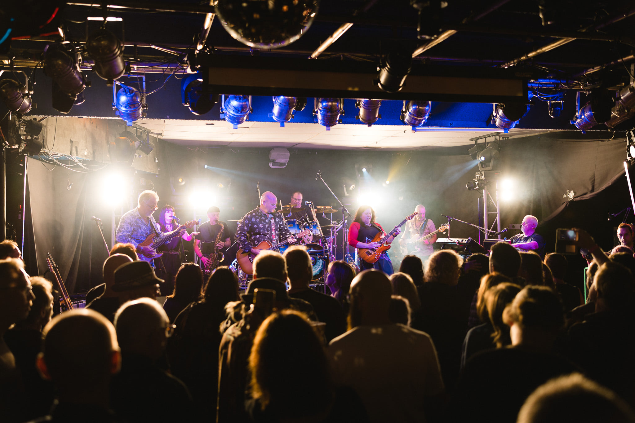 Comfortably Numb, tribute band in Perth, photo 2