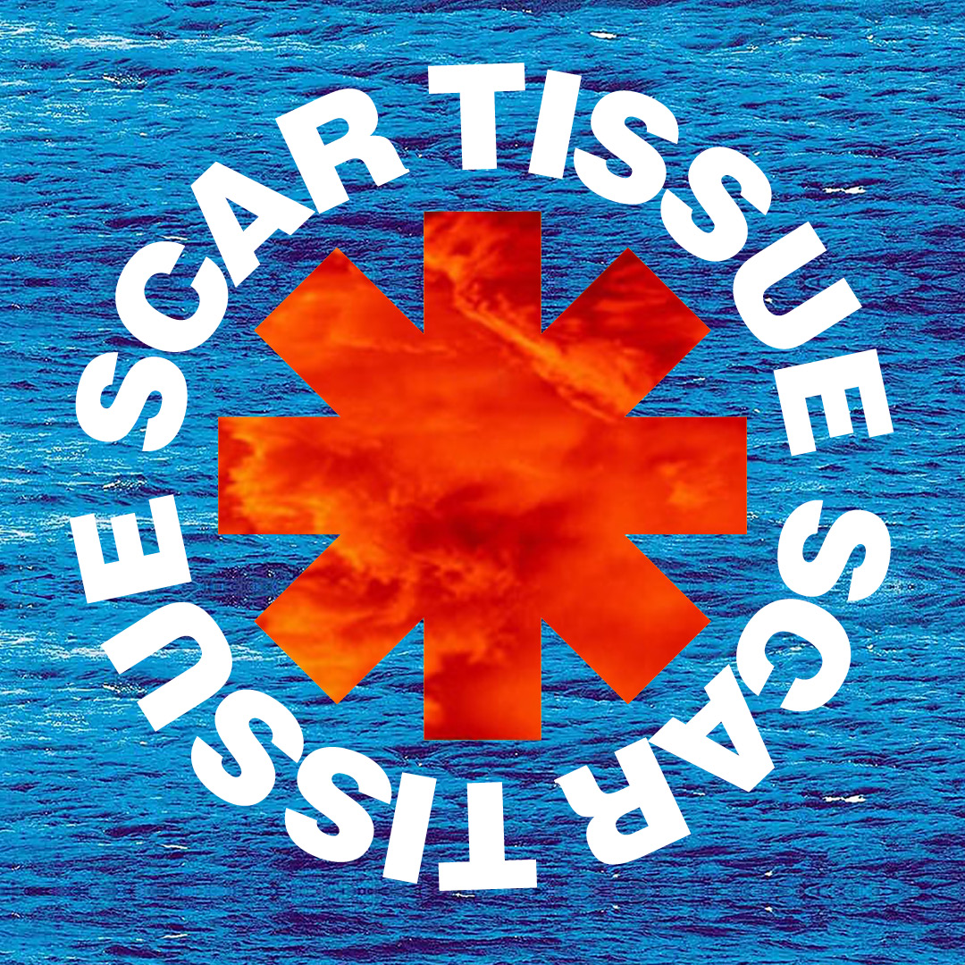 Scar Tissue, tribute band in Perth
