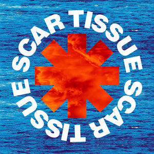 Scar Tissue, tribute band in Perth, photo 2