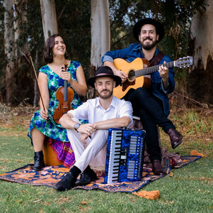 The Foothills Trio, musical trio in Perth, photo 2