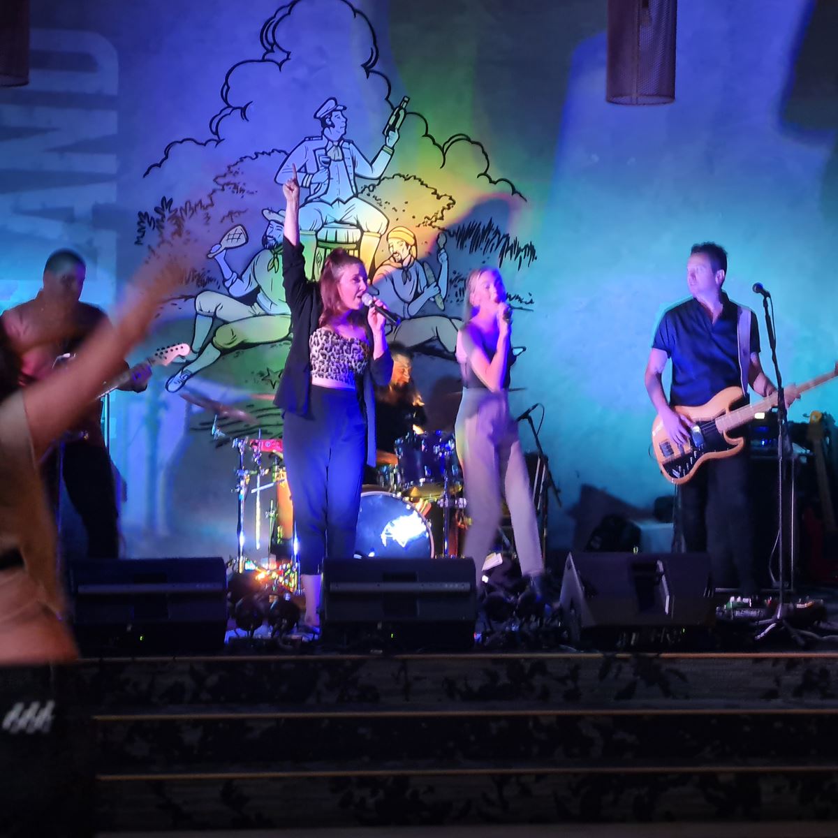 Sonic Entertainment, wedding band in Perth, photo 2