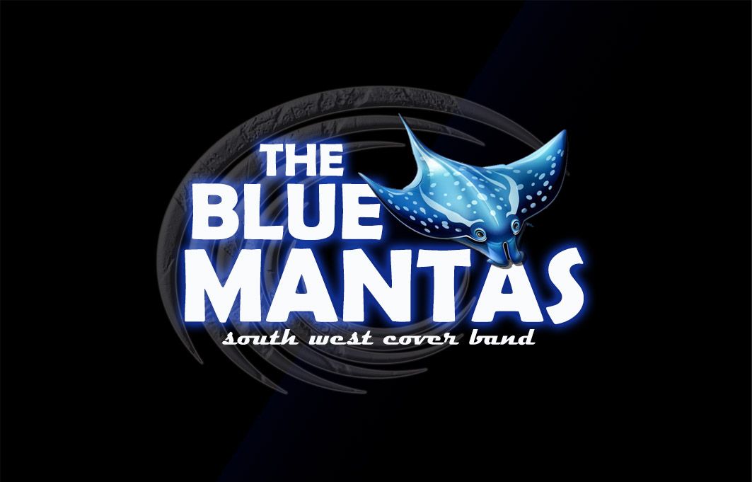 The Blue Mantas, wedding band in Perth