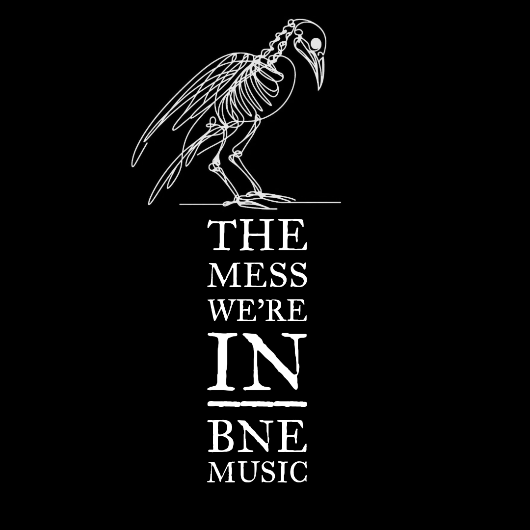 The Mess We're In, cover band in Queensland