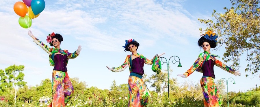 Red Top Creations, stilt walker in Perth, photo 3