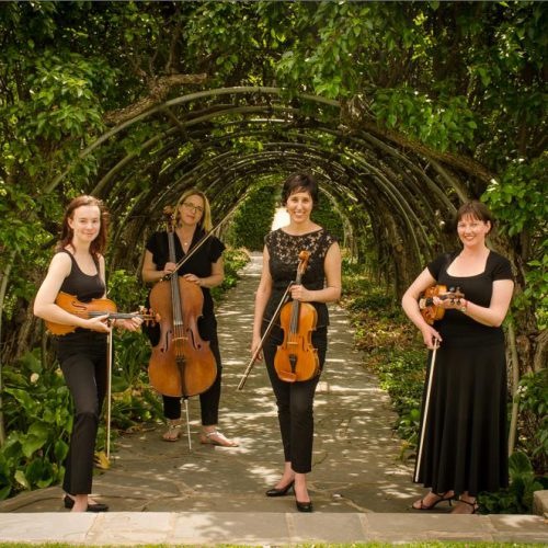 Aurora Strings, string quartet in SA