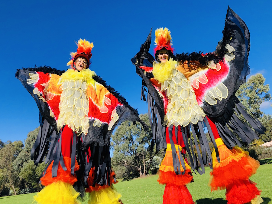 SHARCOLA STILTWALKING, stilt walker in Perth, photo 2