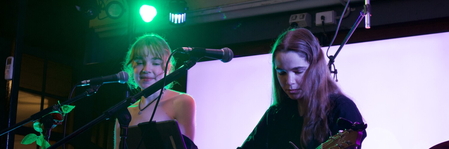 The Ludlow Twins, musical duo in Shepparton, photo 3