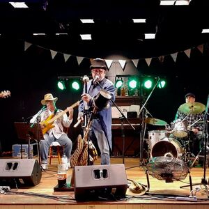 The Bale 'Em Up Bush Band, live in Sunshine Coast, photo 2