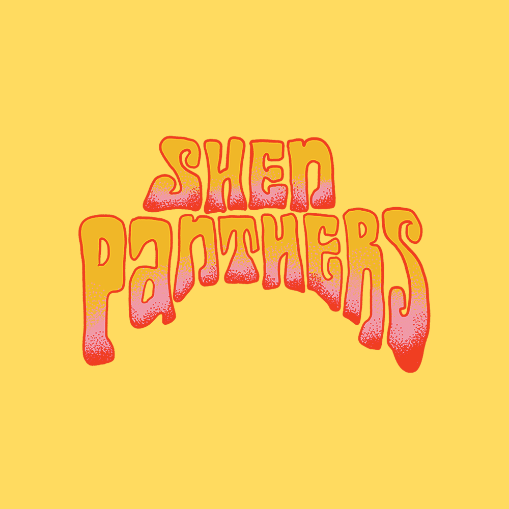 Shen Panthers, cover band in Sunshine Coast
