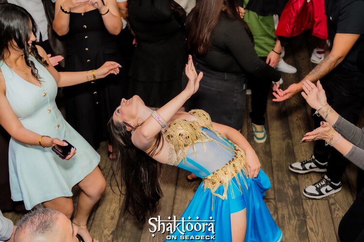 Raqs Sharqi (bellydancer), belly dancer in Sydney, photo 3