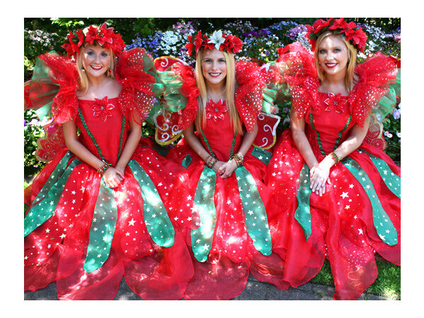 Fairy Wishes, event services in Sydney, photo 3