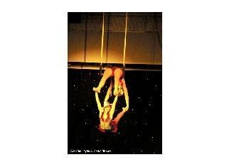 Double Trapeze, circus act in Sydney