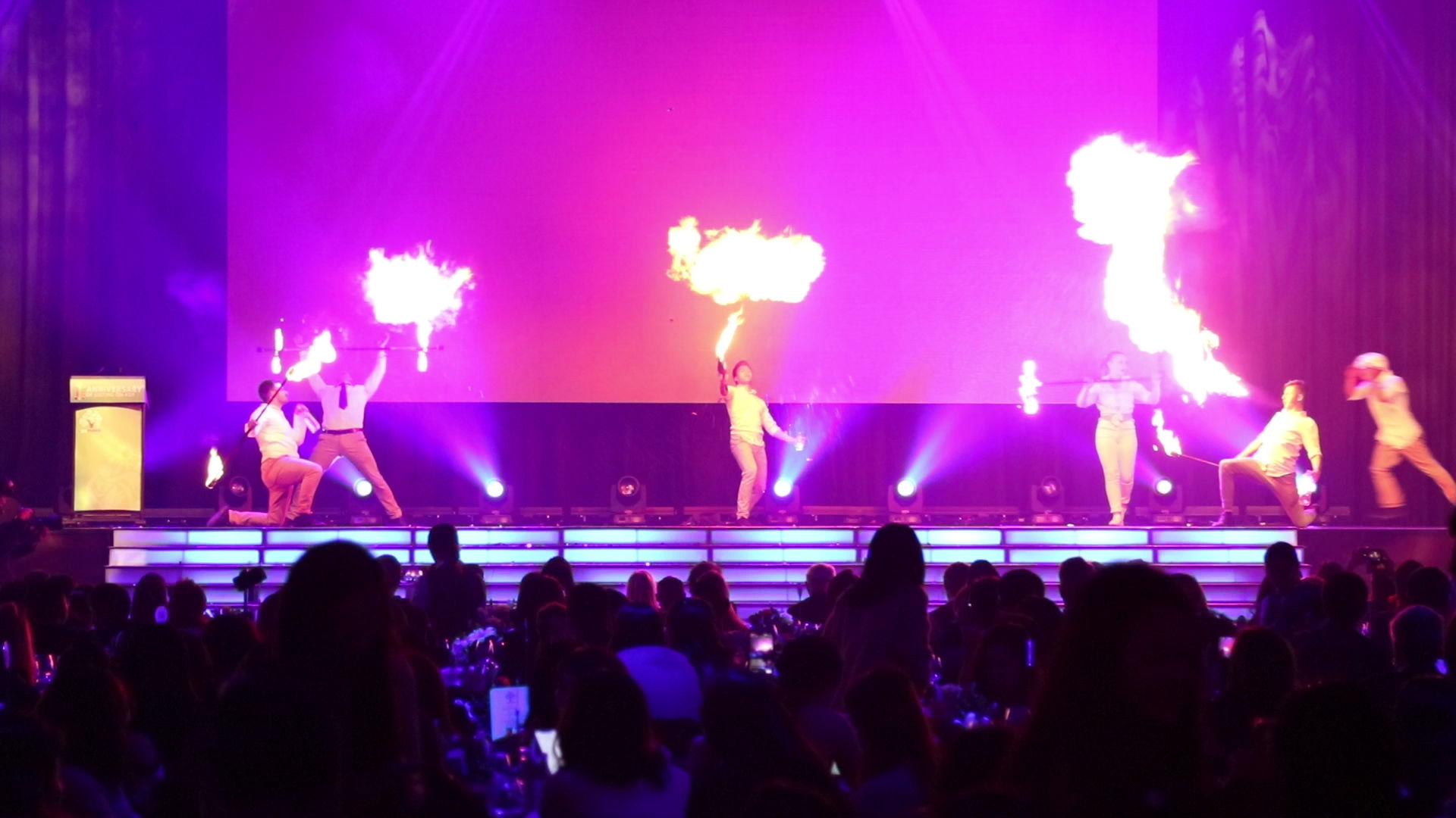 Fearless, circus act in Sydney