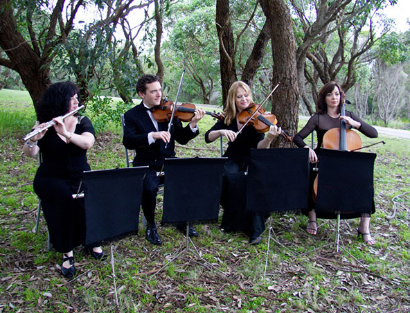 Velvet Strings, string quartet in Sydney