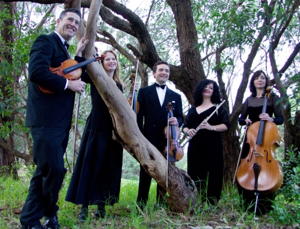 Velvet Strings, string quartet in Sydney, photo 3