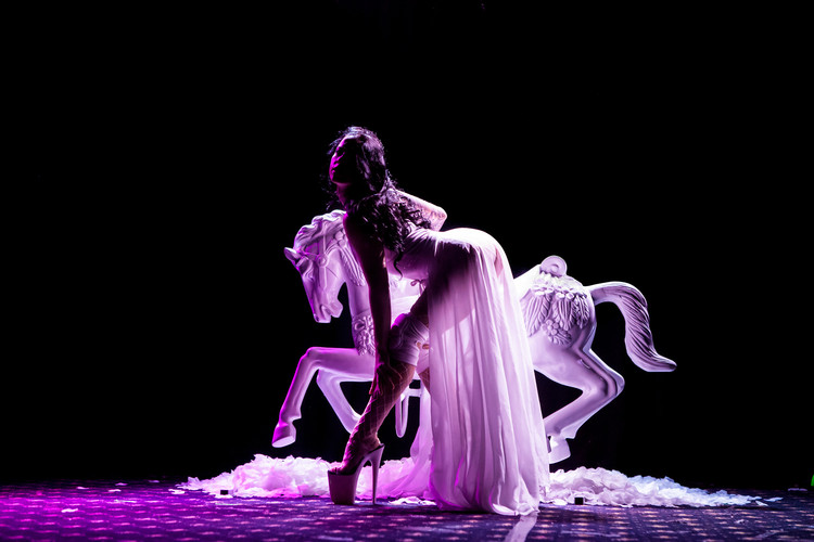 Pole dancer & contortionist, live in Sydney, photo 3