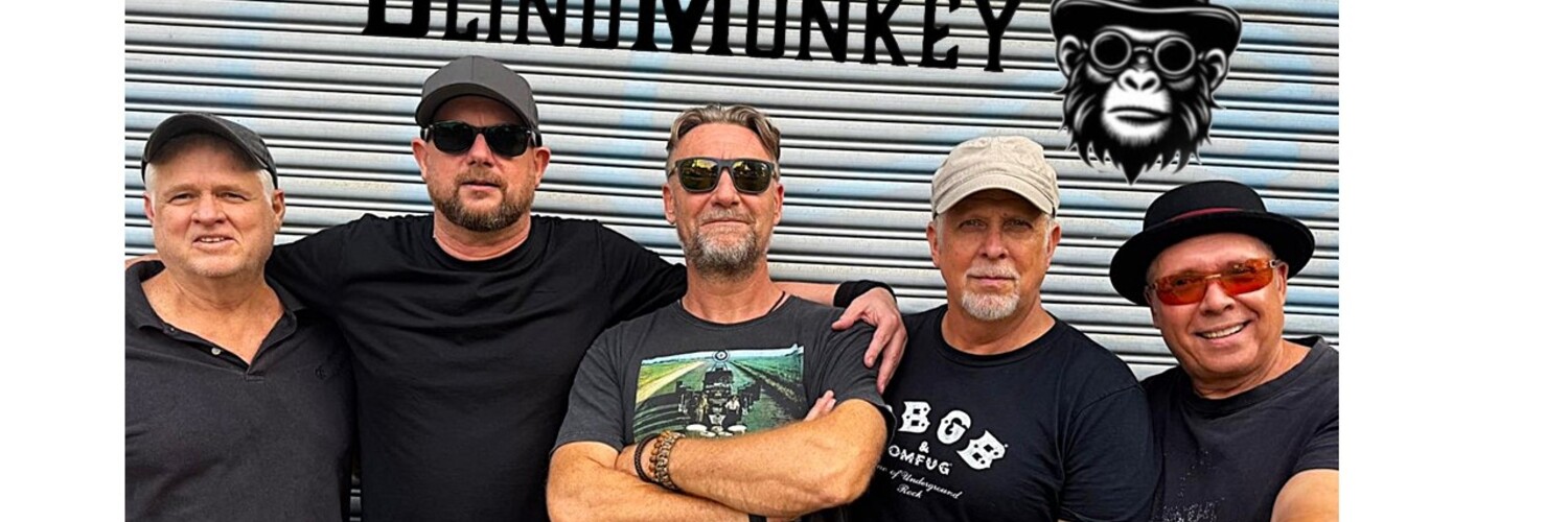 Blind Monkey, cover band in Sydney, photo 2