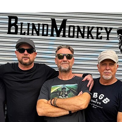 Blind Monkey, cover band in Sydney