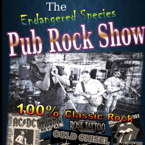 Endangered Species, cover band in Sydney, photo 2