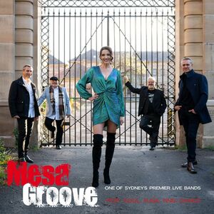 Mesa Groove, cover band in Sydney, photo 2