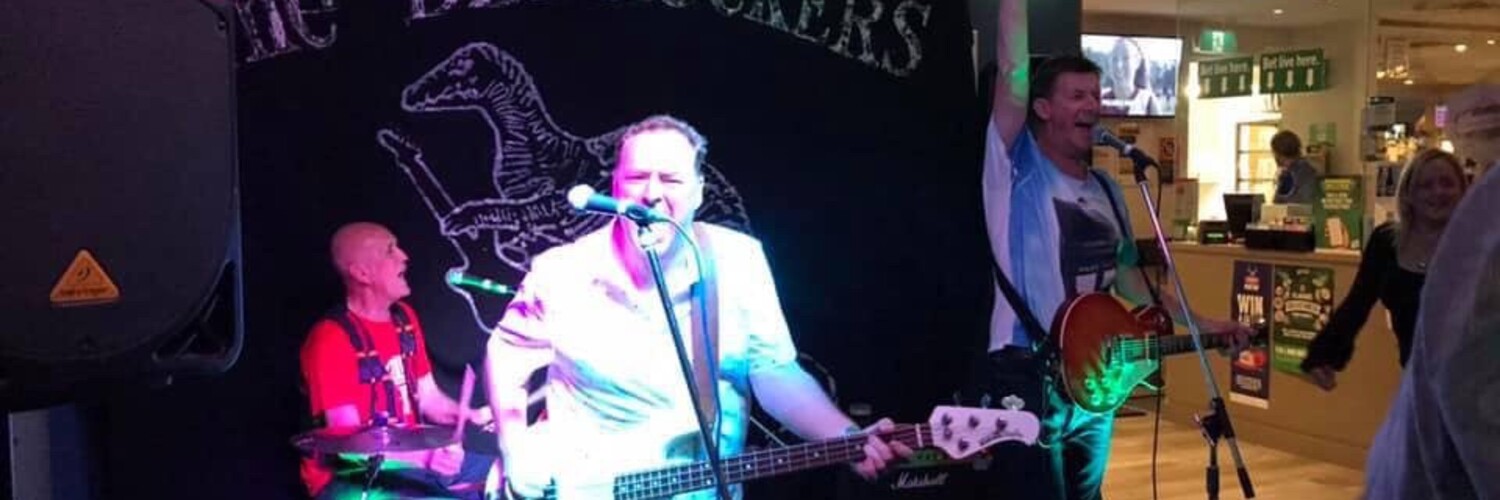 The Bedrockers, cover band in Sydney, photo 3