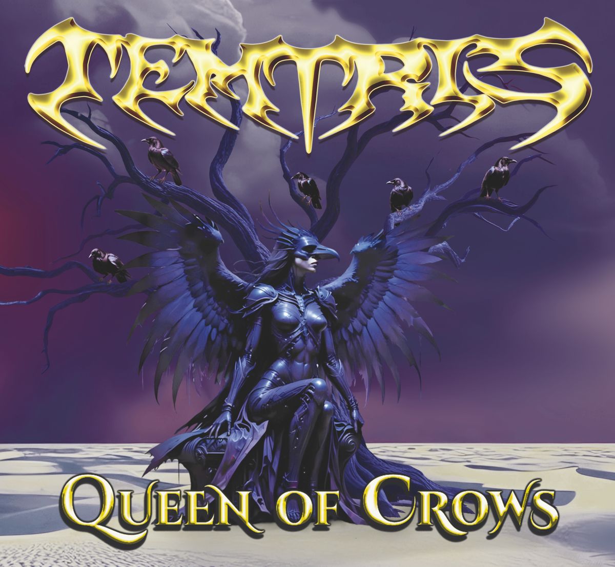 Temtris, cover band in Sydney