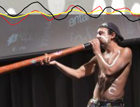 Didgeridoo Player Sydney, live in Sydney, photo 2