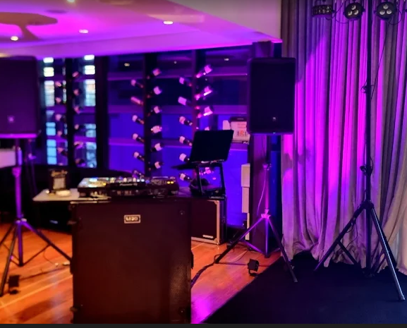 Dj Steve De, live in Sydney, photo 3