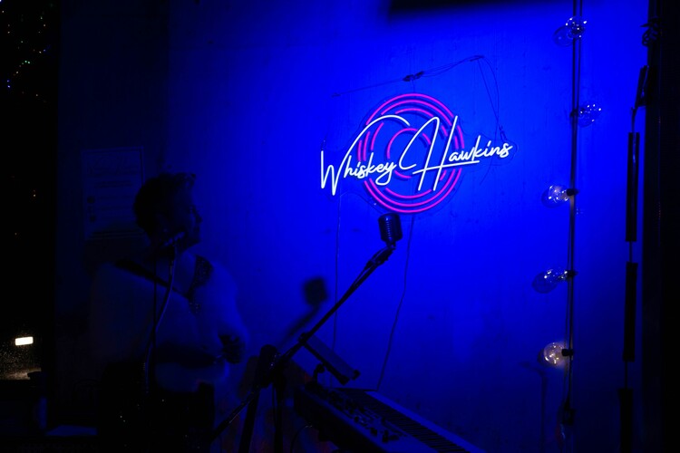 Whiskey Hawkins, musical duo in Sydney, photo 3