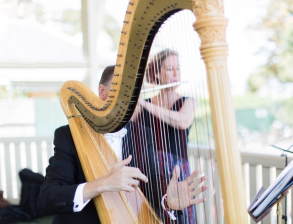 Sydney Wedding Harpist B, harp player in Sydney, photo 2